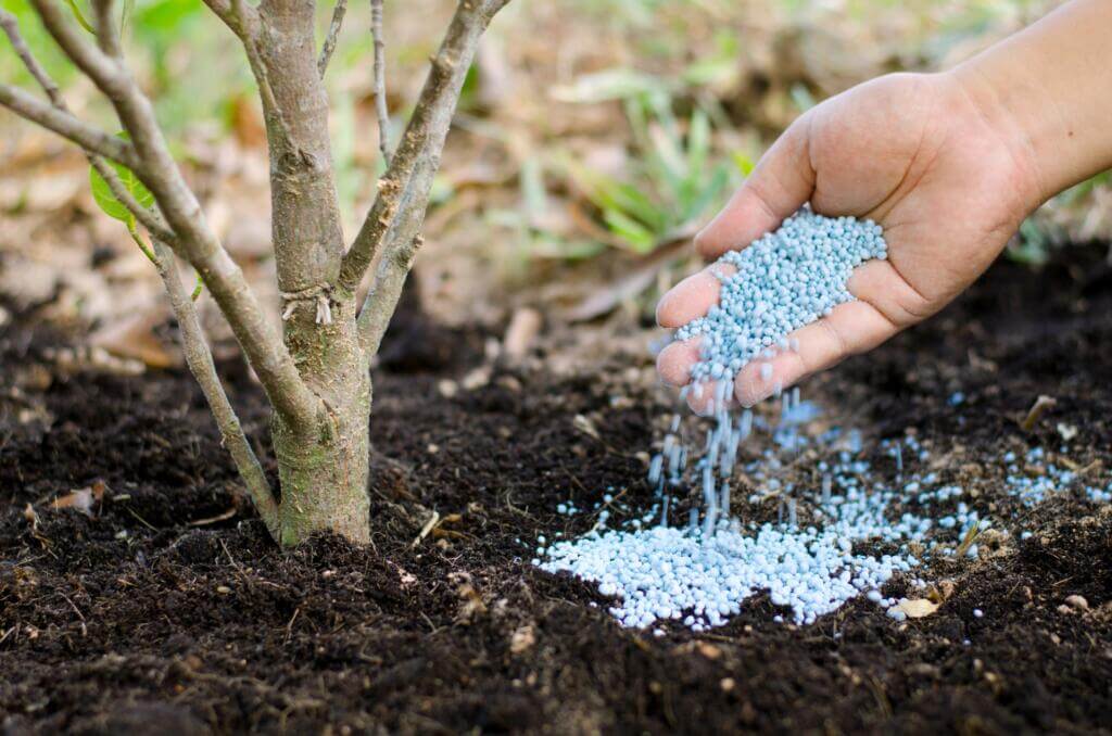 Tree fertilizer